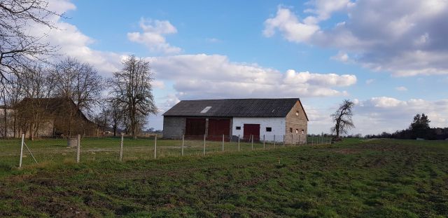 Działka budowlana Jasienin Duży. Zdjęcie 1