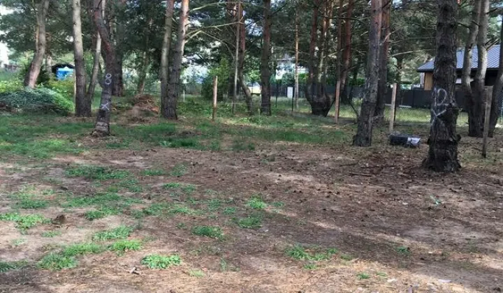 Działka rod Toruń, ul. Poznańska
