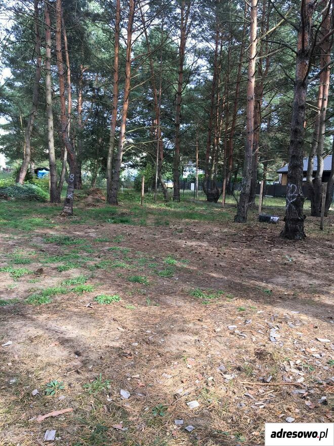 Działka rod Toruń, ul. Poznańska. Zdjęcie 1