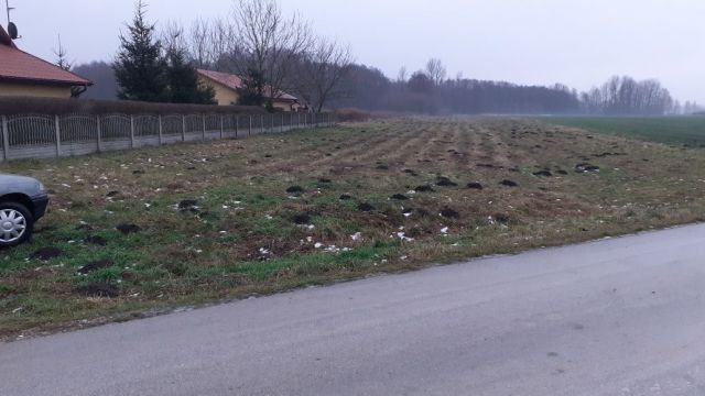 Działka rolno-budowlana Korytnica. Zdjęcie 1