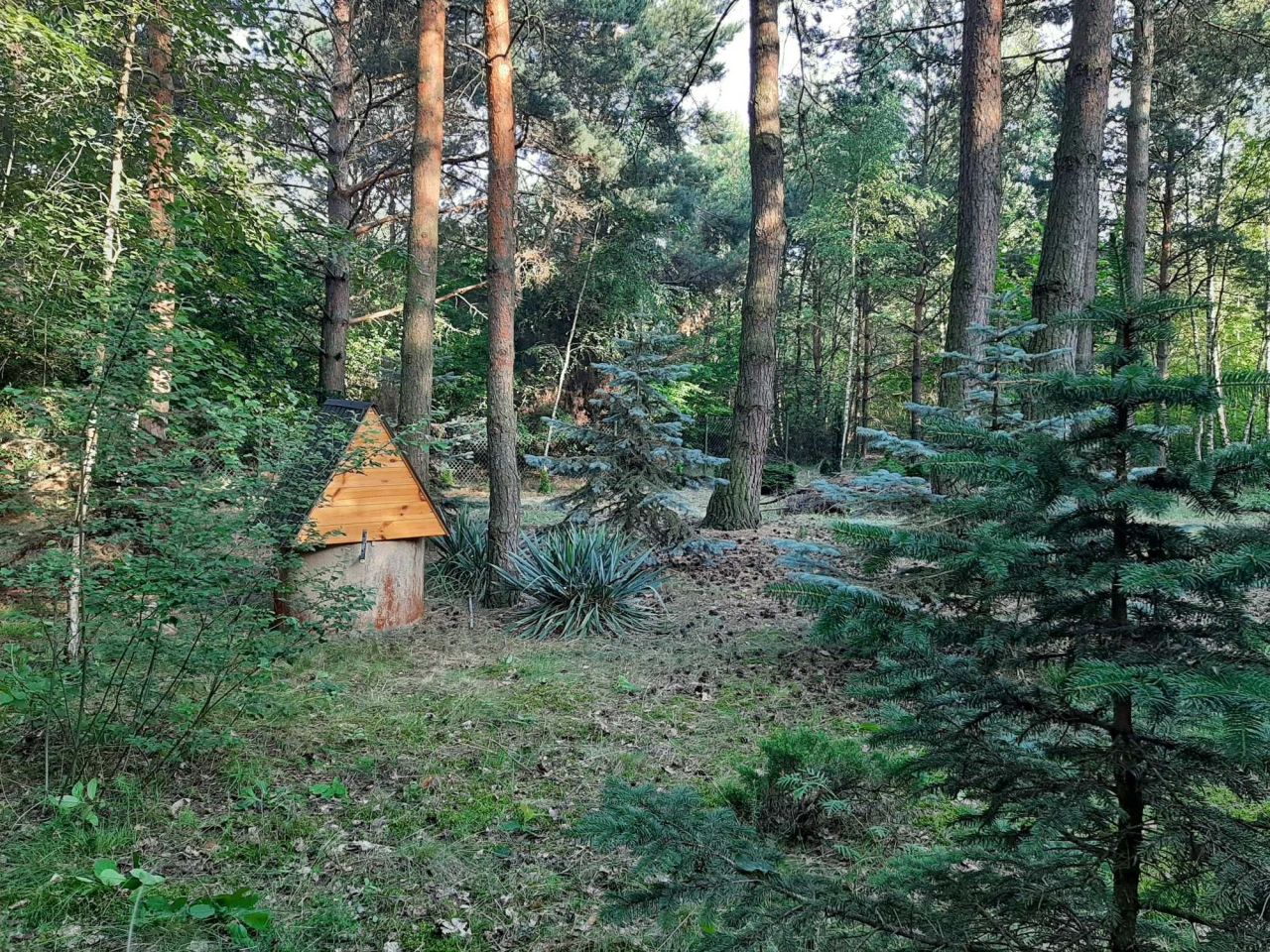 Działka rekreacyjna Józefów-Wiktorów