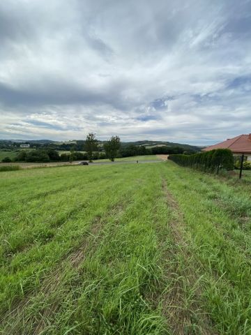 Działka rolna Dąbrówka Starzeńska. Zdjęcie 1