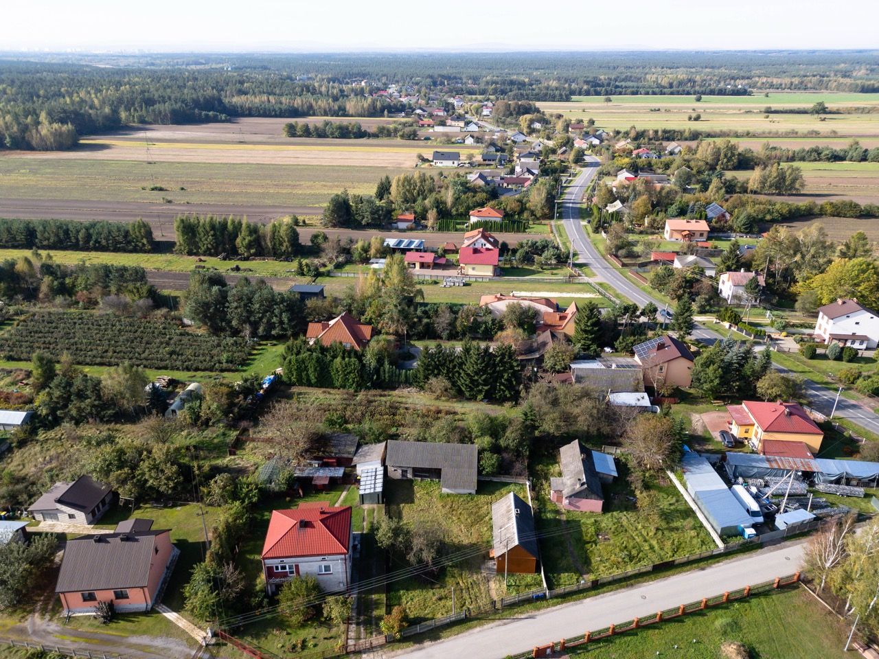 Działka rolno-budowlana Stara Dębowa Wola. Zdjęcie 5