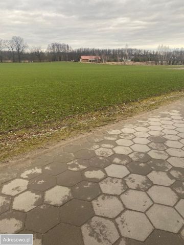Działka budowlana Osieczna. Zdjęcie 1