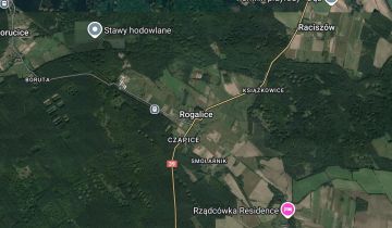 Działka rolna Rogalice