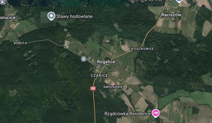 Działka rolna Rogalice