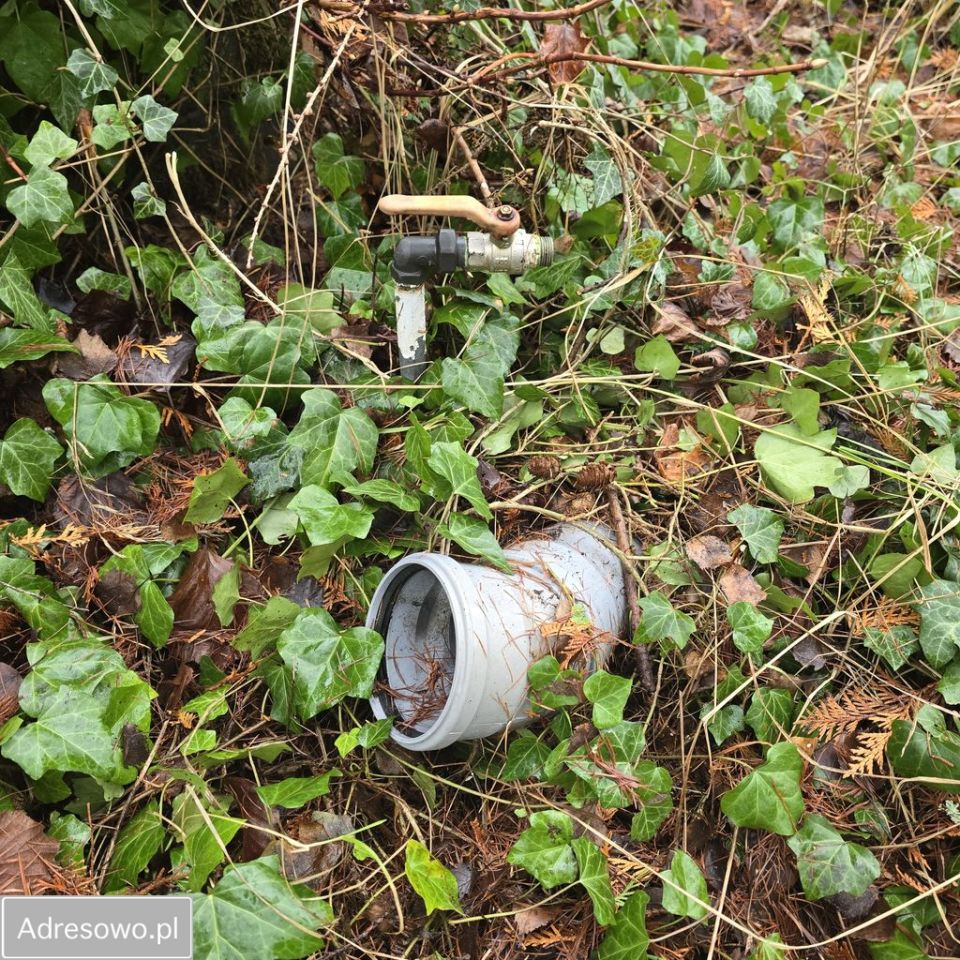 Działka Bolechowo. Zdjęcie 16