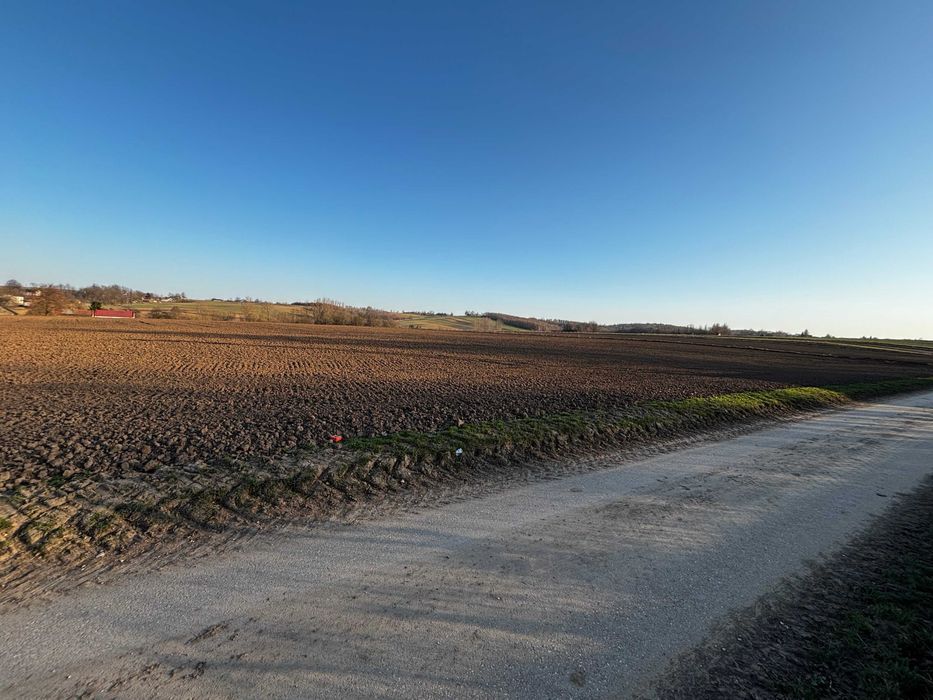 Działka rolno-budowlana Paśmiechy. Zdjęcie 5