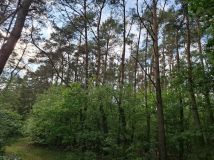 Działka budowlana Nowe Miasto, Tatarska. Zdjęcie 1
