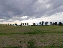Działka budowlana Rakowiec, ul. Dolna. Zdjęcie 4