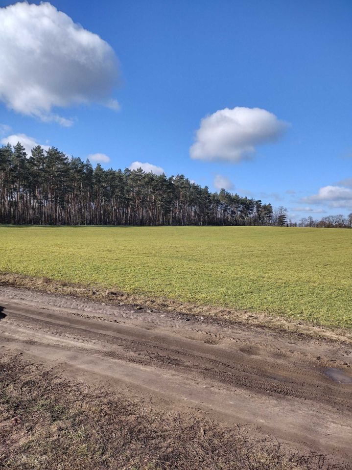 Działka budowlana Lubosz. Zdjęcie 3