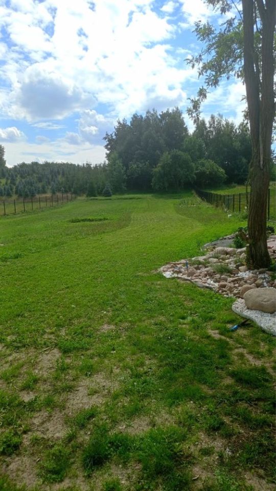 Działka rolno-budowlana Głuchówek. Zdjęcie 4