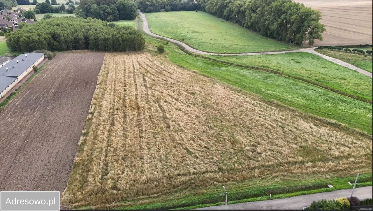Działka budowlana Świerklaniec, ul. Damrota. Zdjęcie 2
