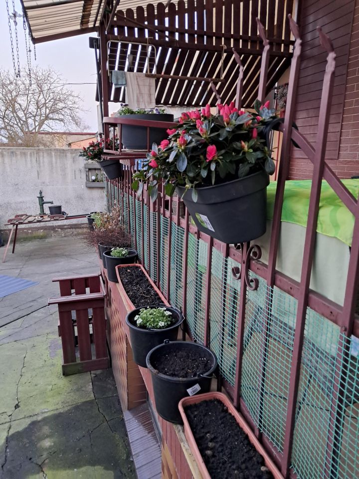 dom wolnostojący, 5 pokoi Pyzdry, ul. 3 Maja. Zdjęcie 2