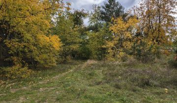 Działka rekreacyjna Wieleń, ul. Południowa