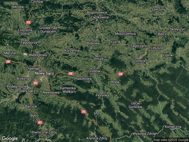 Działka leśna Grybów. Zdjęcie 1