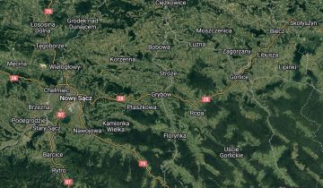 Działka leśna Grybów