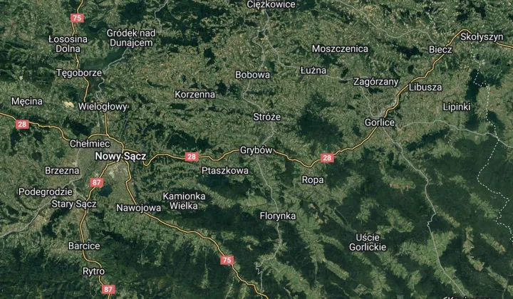 Działka leśna Grybów