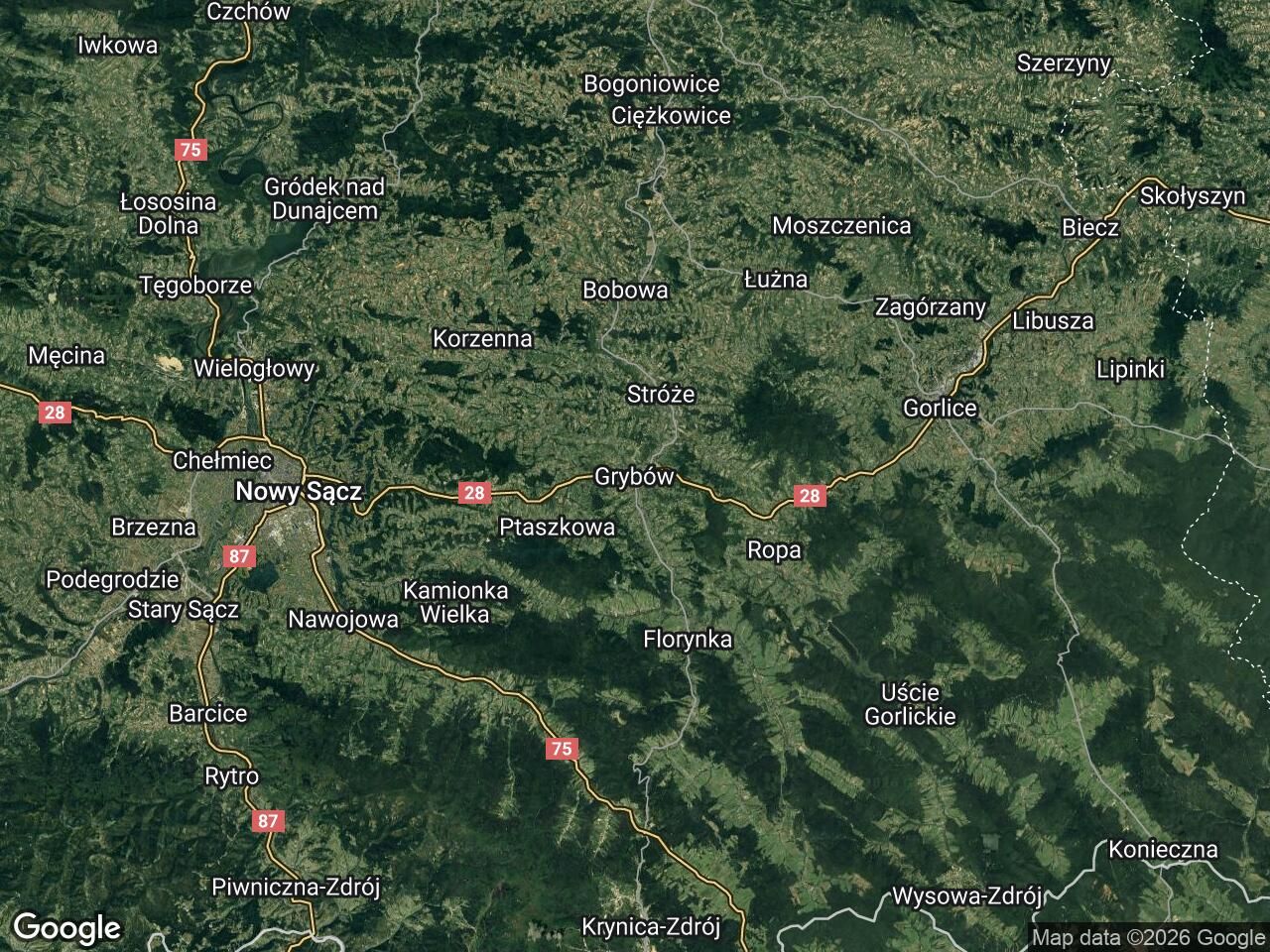 Działka leśna Grybów