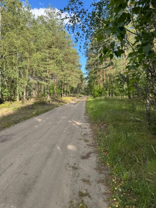 Działka budowlana Grzybowo. Zdjęcie 6