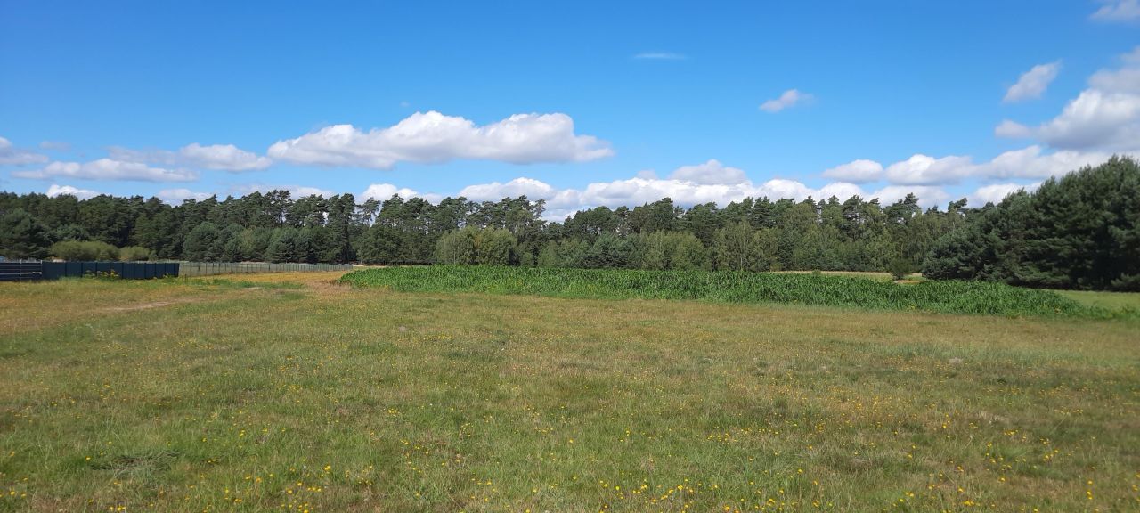 Działka rolno-budowlana Dylaki Michalanka, ul. Ozimska. Zdjęcie 3