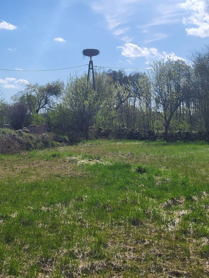 Działka rolno-budowlana Jamienko. Zdjęcie 5