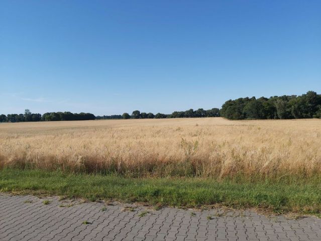 Działka rolno-budowlana Wilkowo Polskie, ul. Kościańska. Zdjęcie 1