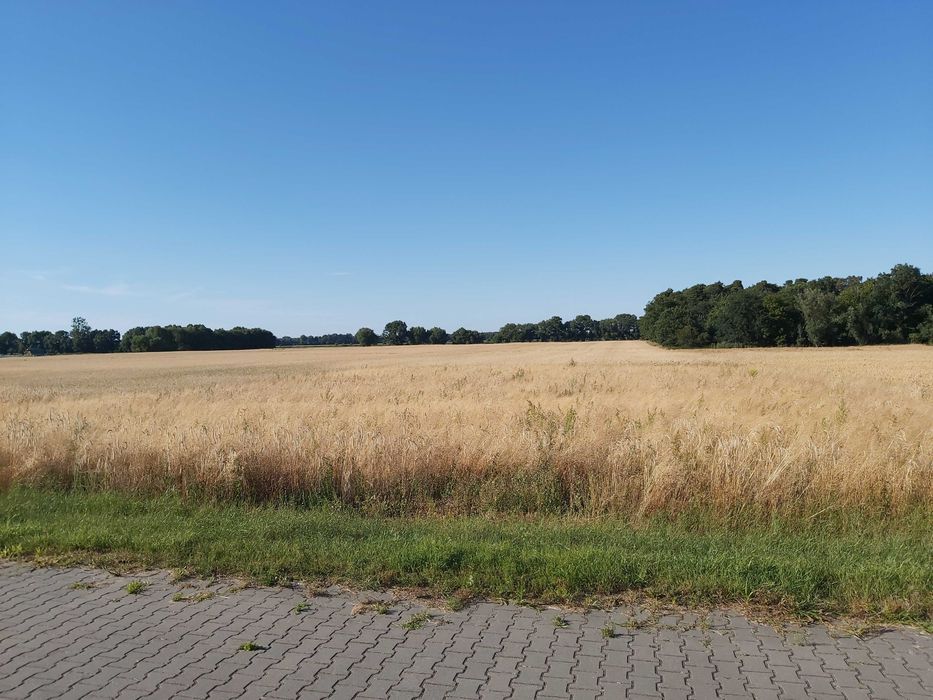 Działka rolno-budowlana Wilkowo Polskie, ul. Kościańska