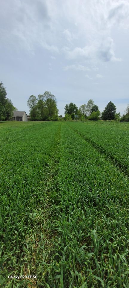 Działka rolno-budowlana Janówka. Zdjęcie 7