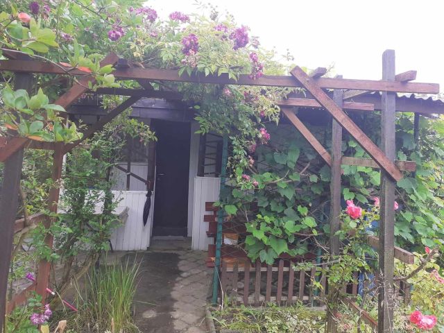 Działka rod Jastrzębie-Zdrój Zofiówka, ul. Wojciecha Korfantego. Zdjęcie 1