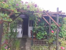 Działka rod Jastrzębie-Zdrój Zofiówka, ul. Wojciecha Korfantego