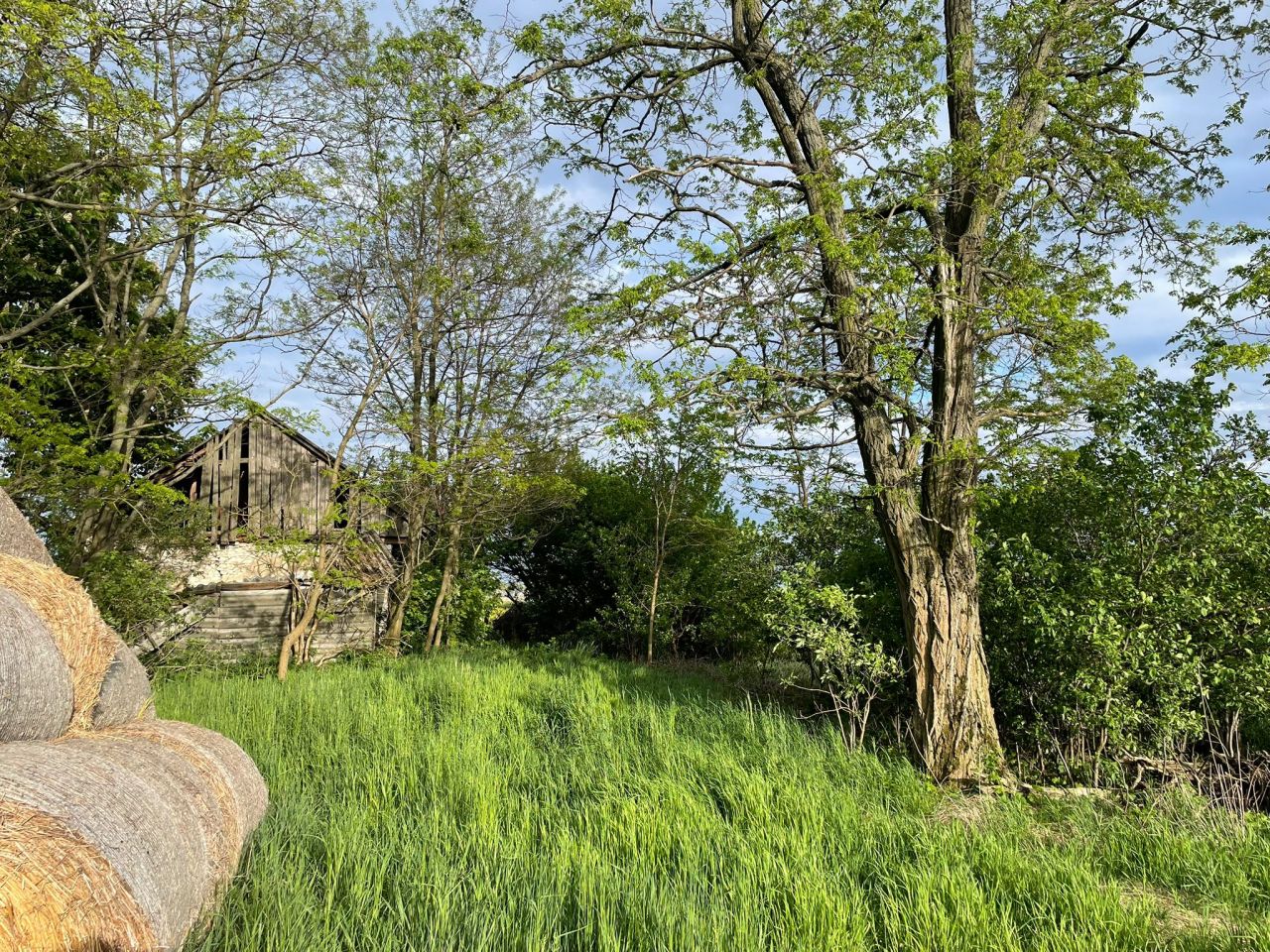 Działka rolno-budowlana Witów. Zdjęcie 5