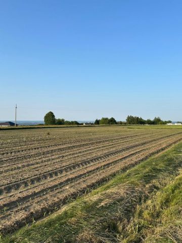 Działka budowlana Wola Rafałowska. Zdjęcie 1