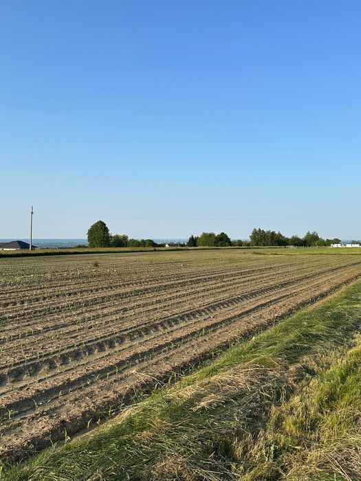 Działka budowlana Wola Rafałowska