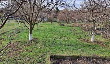 Działka rod Gorzów Wielkopolski, ul. Szpitalna