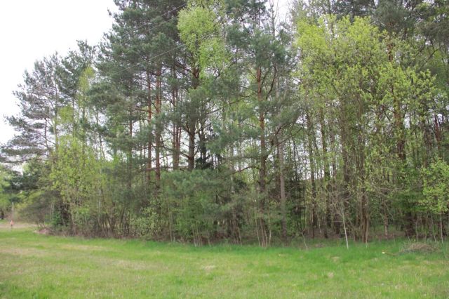 Działka budowlana Przybyszowy. Zdjęcie 1