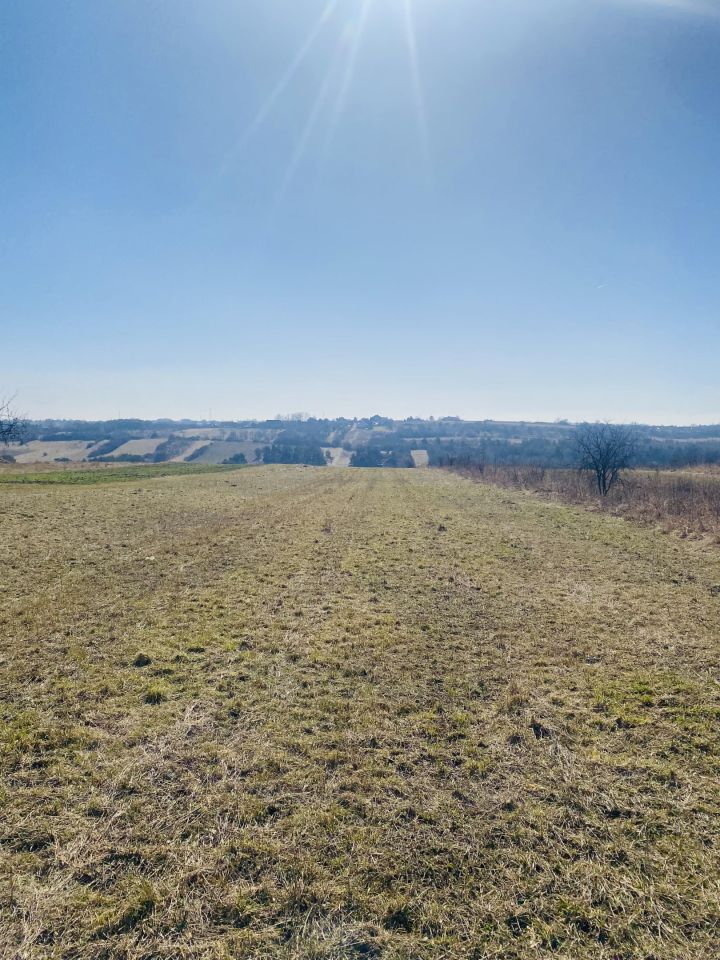 Działka budowlana Sadowie, ul. Dworska. Zdjęcie 5