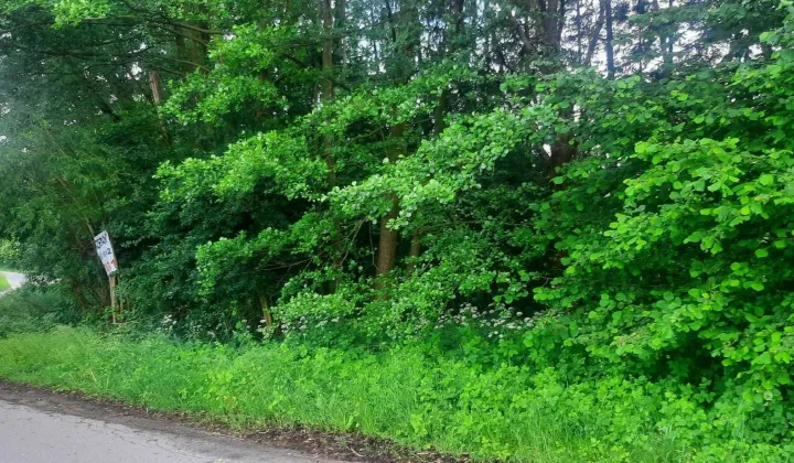 Działka budowlana Nowe Osiny