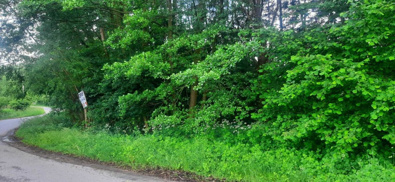Działka budowlana Nowe Osiny. Zdjęcie 1