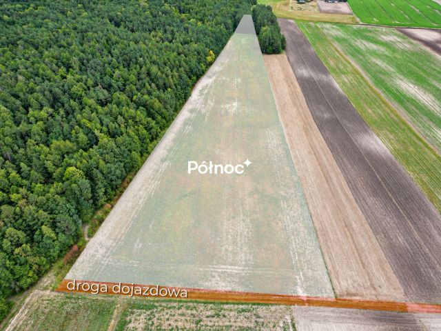 Działka rolna Depułtycze Królewskie. Zdjęcie 4