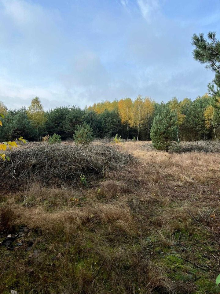 Działka rolno-budowlana Krogule. Zdjęcie 4