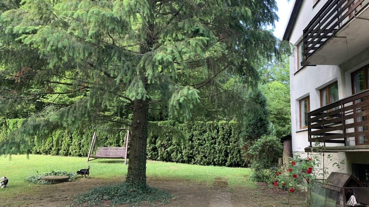 bliźniak, 5 pokoi Sanok Dąbrówka Polska, ul. Gabrieli Zapolskiej. Zdjęcie 12