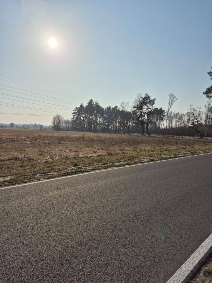 Działka inwestycyjna Reptowo. Zdjęcie 5