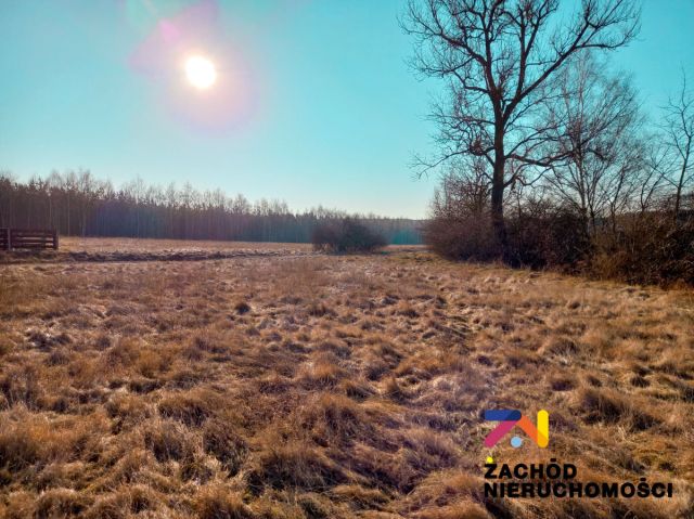 Działka budowlana Zabór. Zdjęcie 1