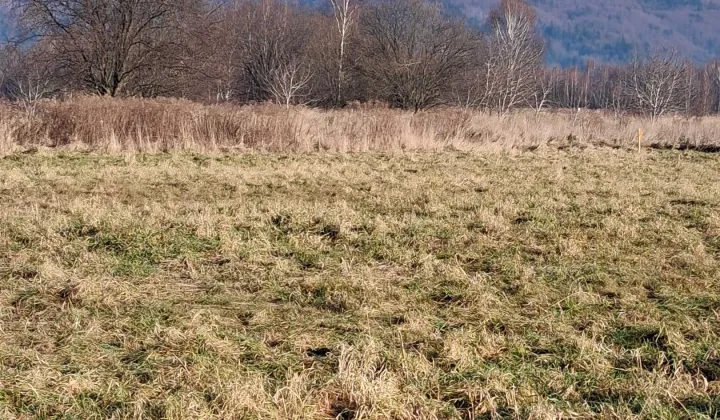 Działka budowlana Wilkowice