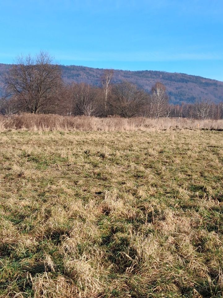 Działka budowlana Wilkowice