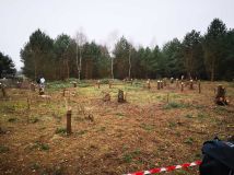 Działka budowlana Skórka. Zdjęcie 4