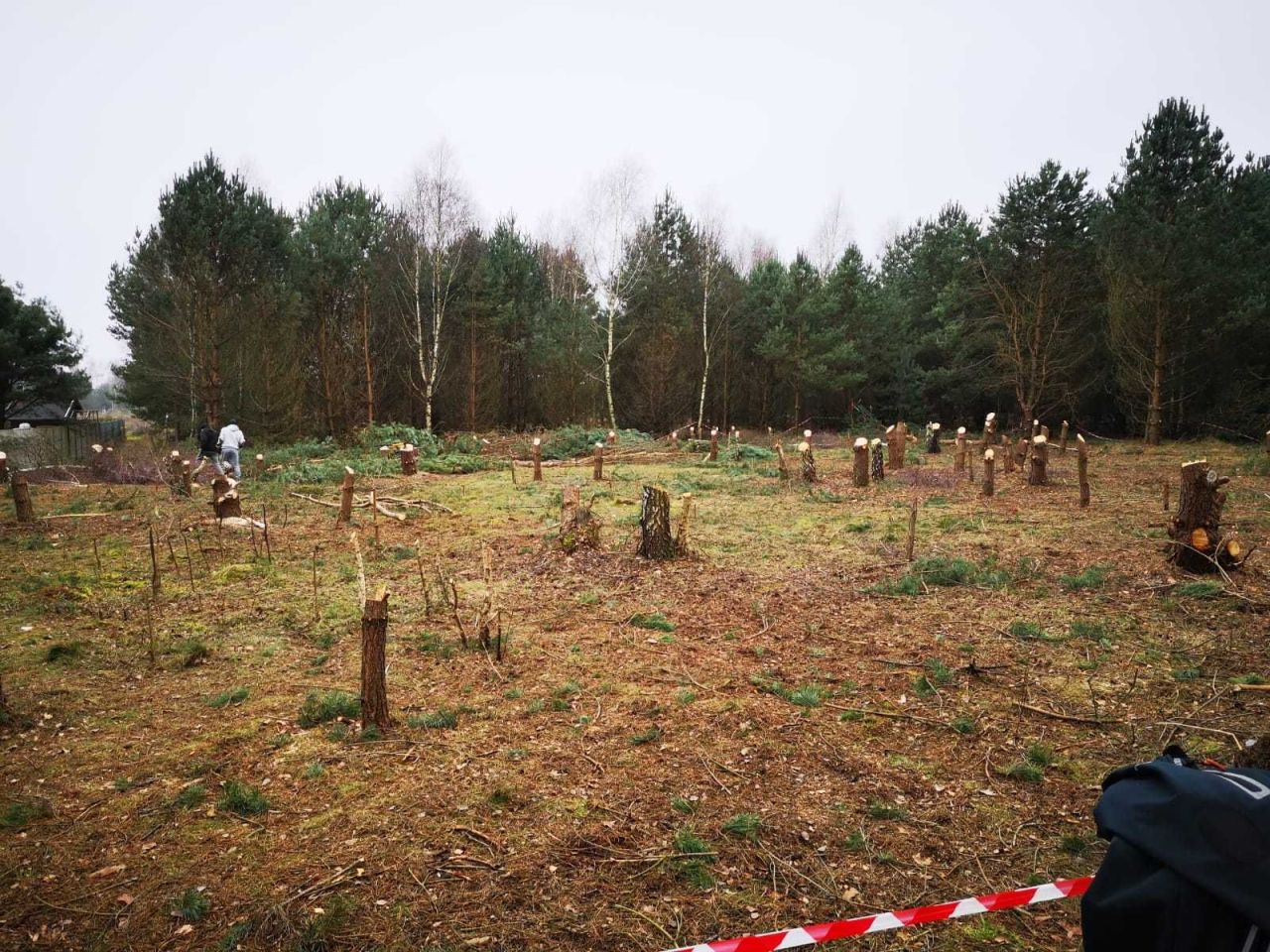 Działka budowlana Skórka. Zdjęcie 5