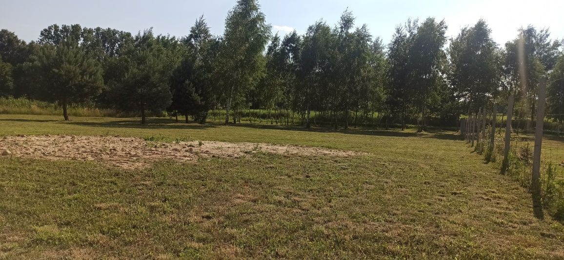 Działka budowlana Rakszawa. Zdjęcie 3