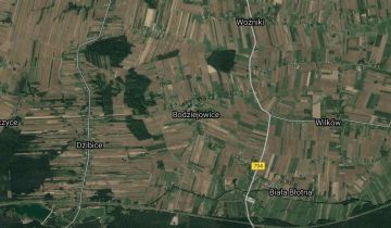 Działka rolna Bodziejowice